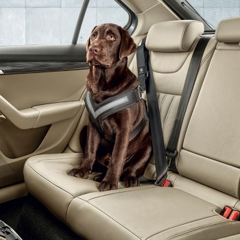 Dog safety belt - L