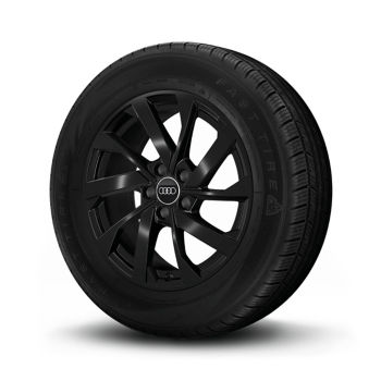 Rad, 10-Speichen-Turbine