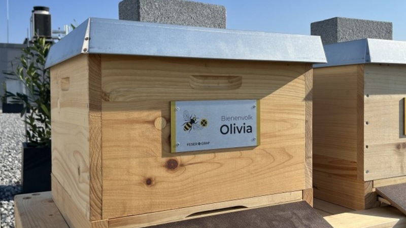 Holz-Bienenstock mit Metallschild 'Bienenvolk Olivia' bei sonnigem Himmel