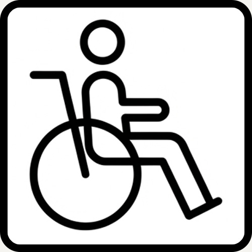 Icon Menschen mit Behinderungen
