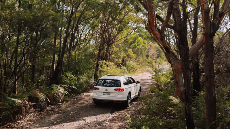 White VW driving through woodland