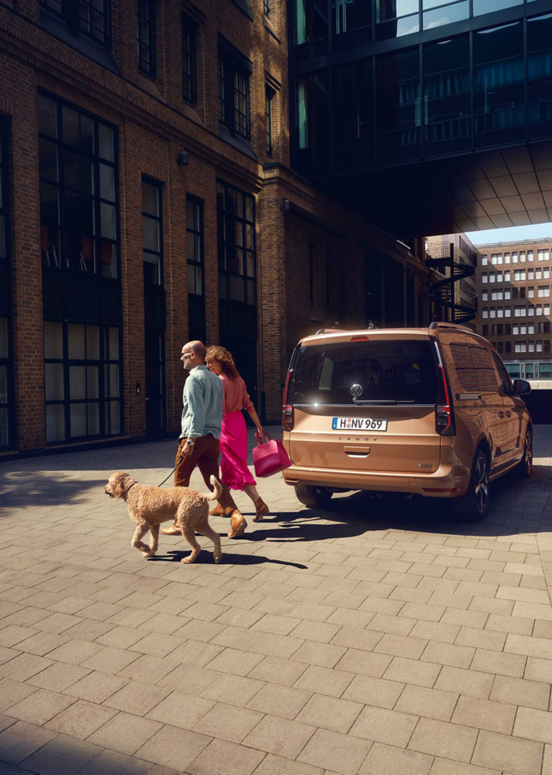 Couple with a dog passing behind caddy