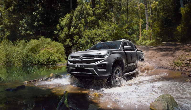 Amarok in creek