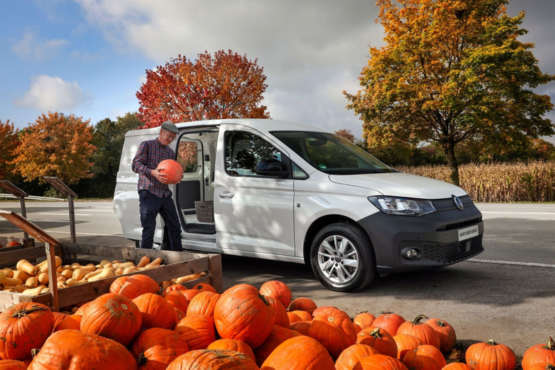 Nowy Caddy Cargo przy straganie z dyniami