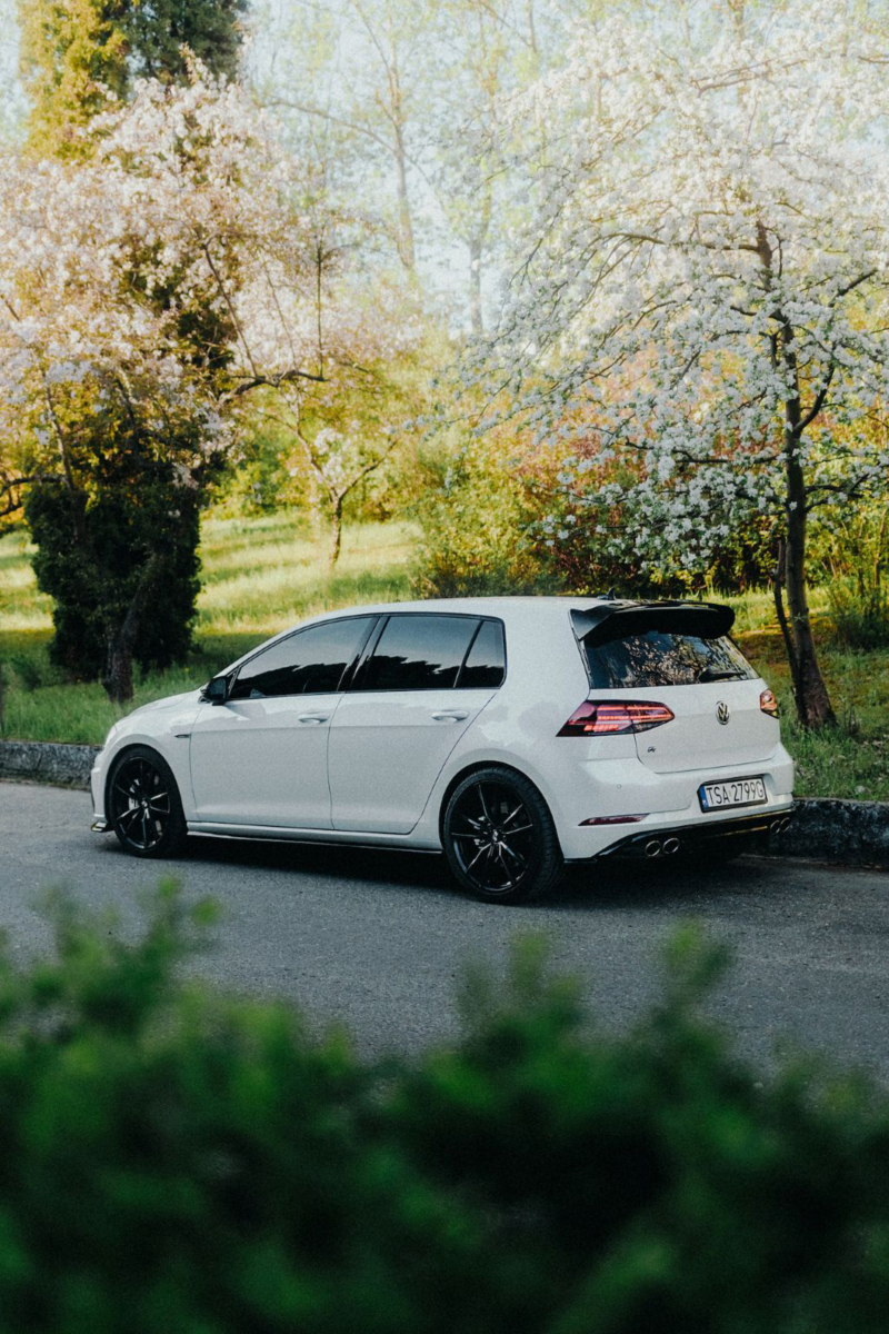 Volkswagen na tle wiosennego parku.
