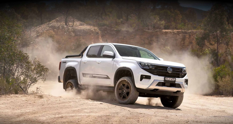 Amarok in desert