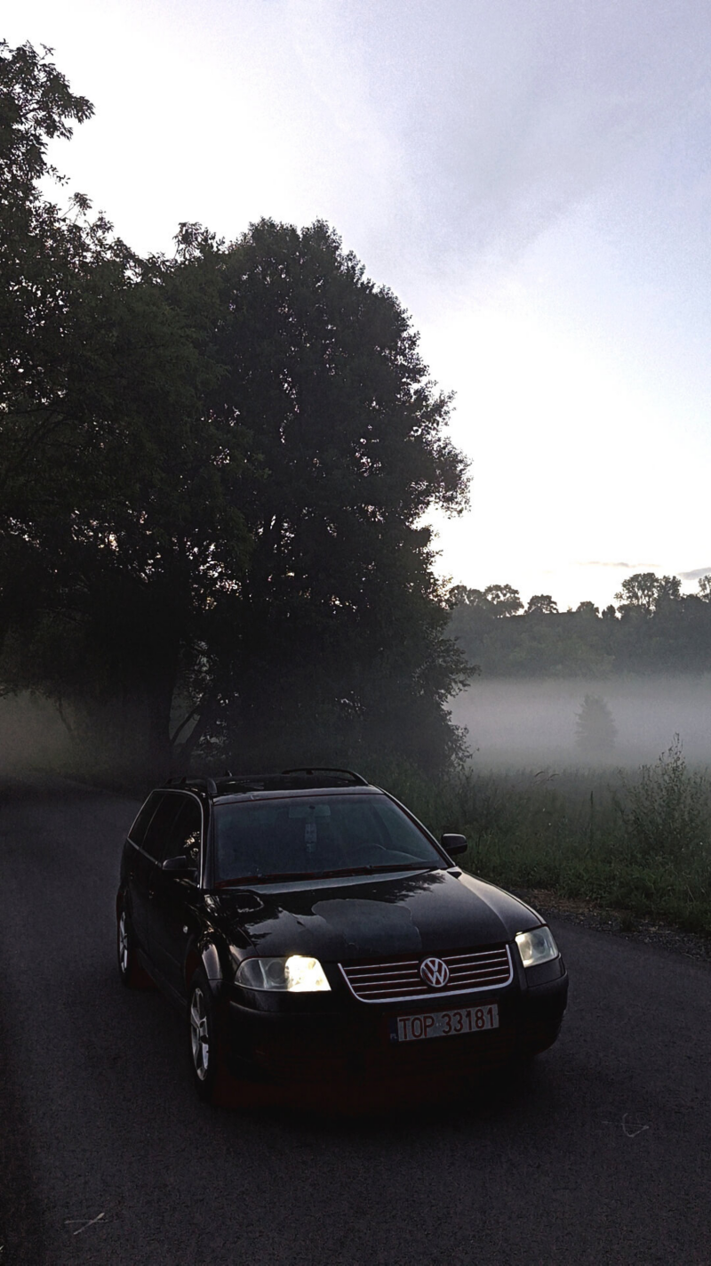 Czarny volkswagen w tle drzewa i mgła