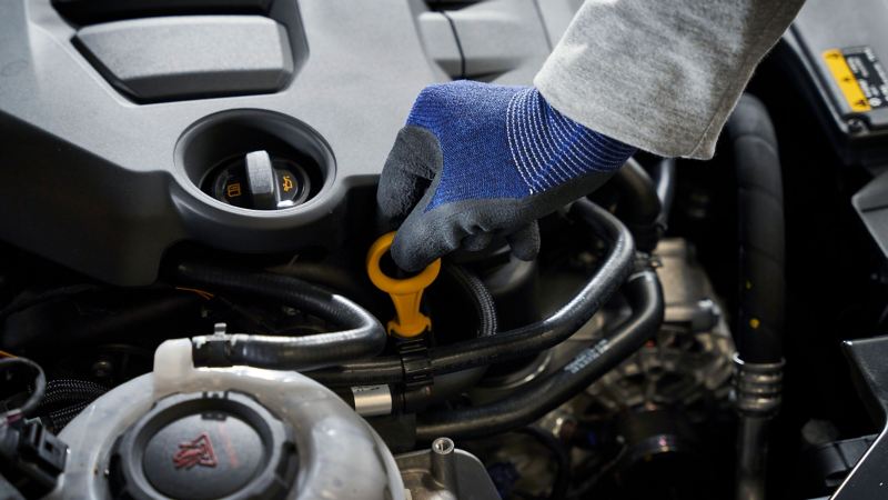 Ein VW Servicemitarbeiter überprüft den Ölstand eines Volkswagen – Ölwissen