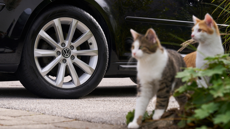 Close-up wheel incl. rim of a VW Touran 1