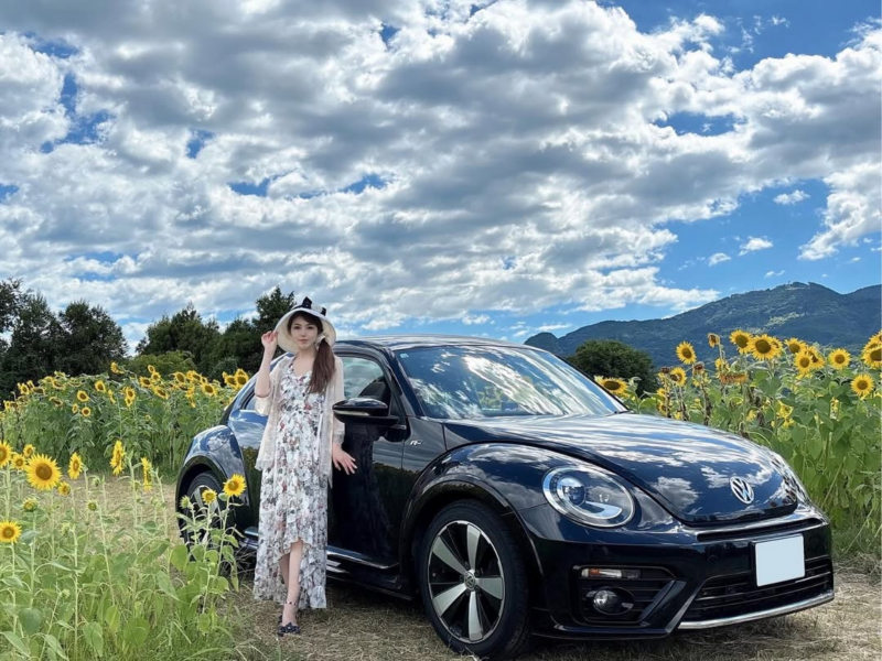 volkswagen car in the sun-flower field