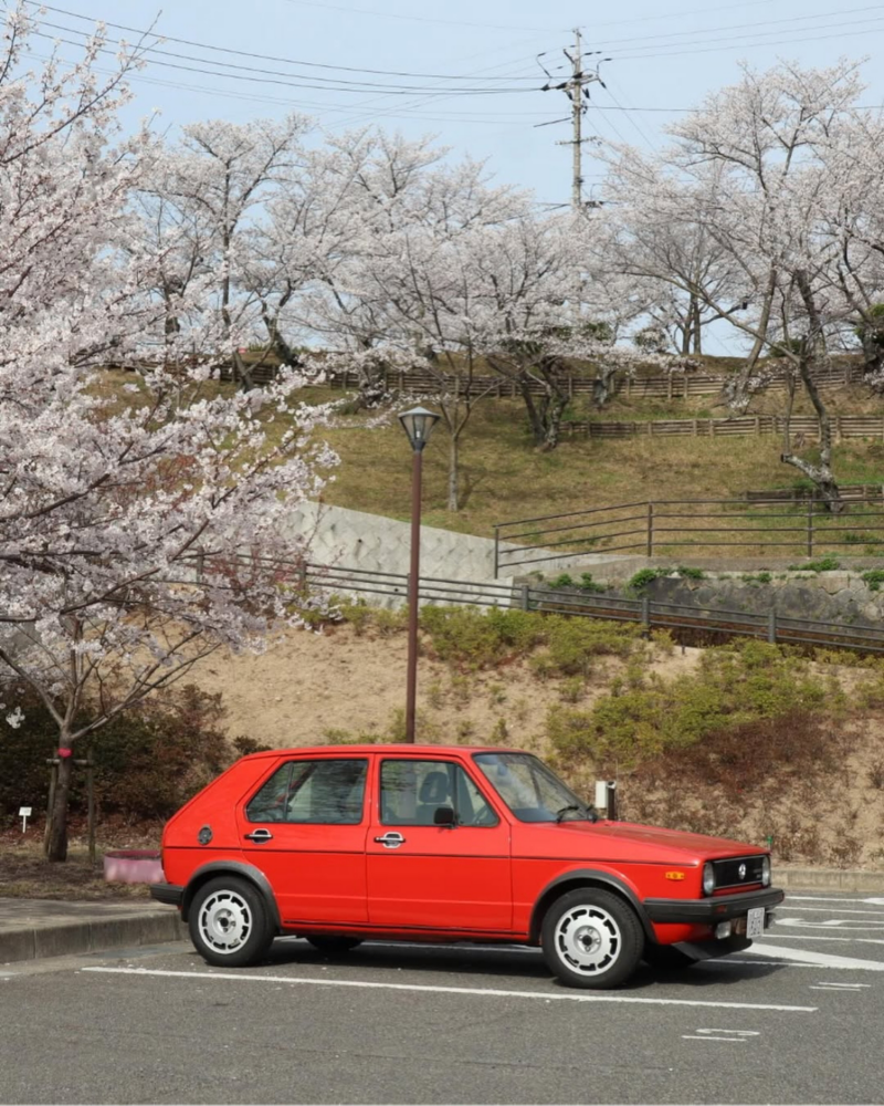 volkswagen car with cherry blossom tree