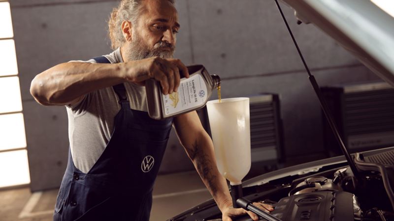 volkswagen yetkili satici ve servis hizmetleri