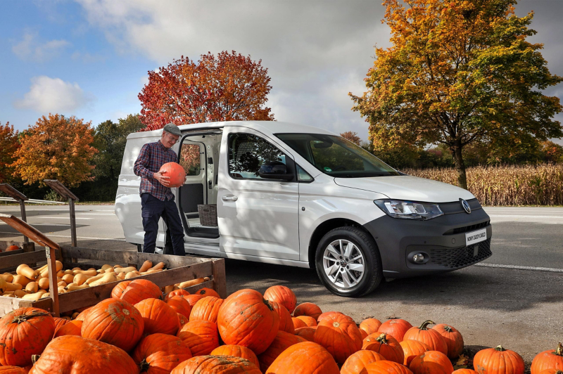 Nowy Caddy Cargo przy straganie z dyniami