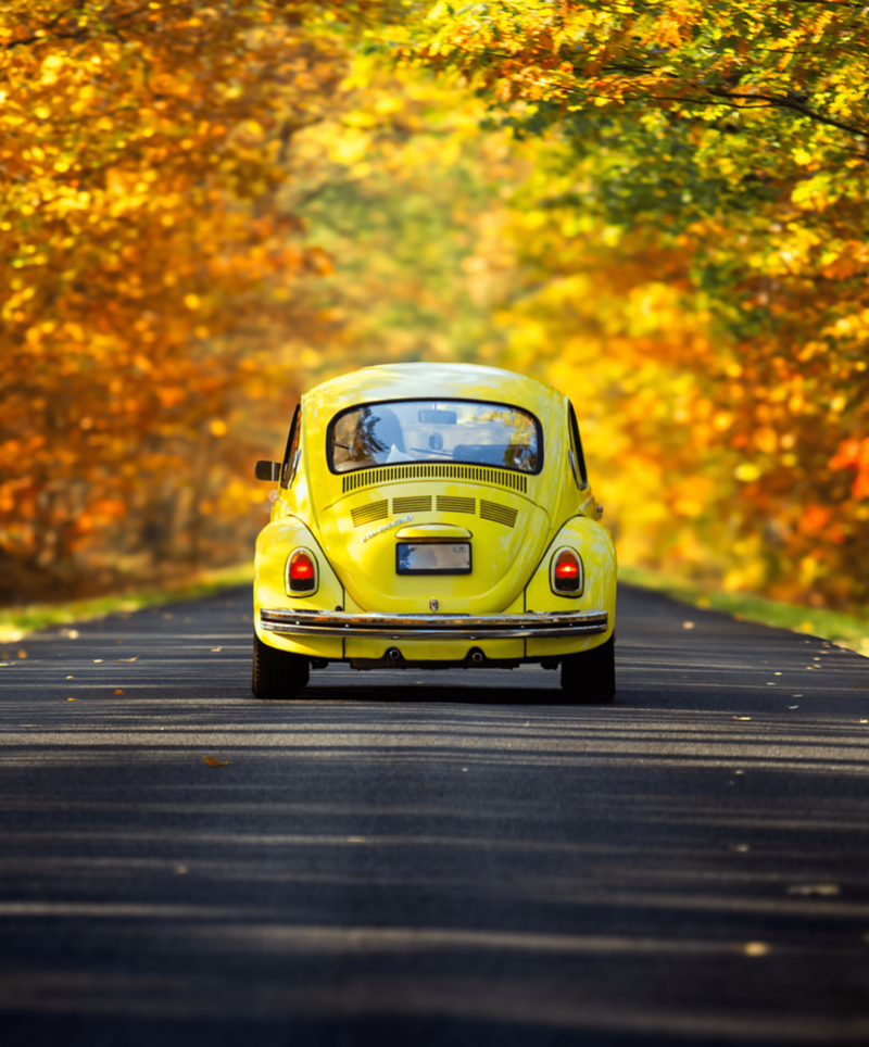 Żółty Volkswagen Beetle jedzie jesienną drogą.