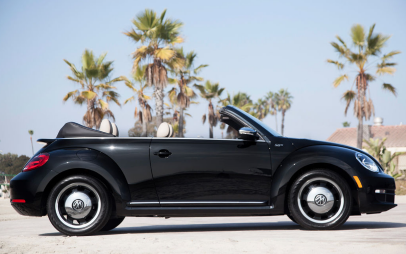 A black Volkswagen Beetle convertible parked by palm trees with the top down.