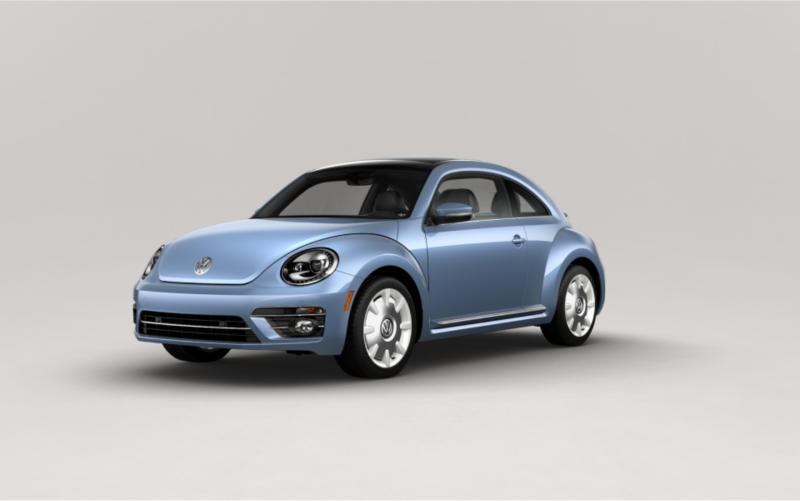 Beetle 2019