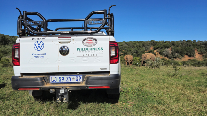 spirit of amarok 2018