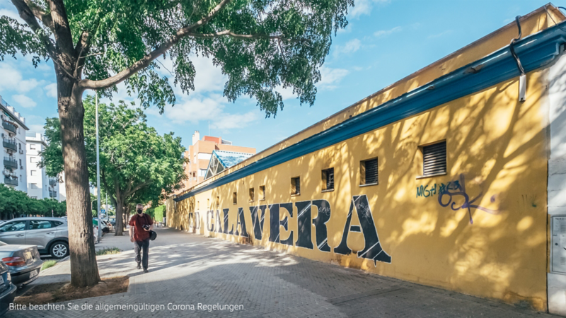 Influencer Sevilla