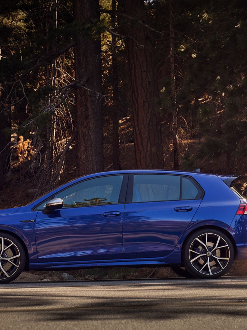 Blue Volkswagen Golf R parked next to a sun-lit pine forest., ink out to Vw’s owner’s manual.