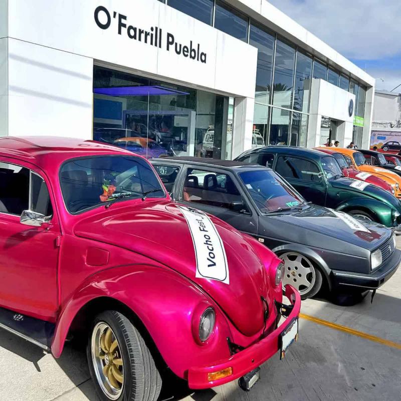 Vochos antiguos de colección a las afueras de Concesionaria Volkswagen O'Farrill en Puebla.