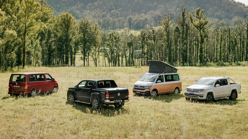 Volkswagen vans & utes parked in field