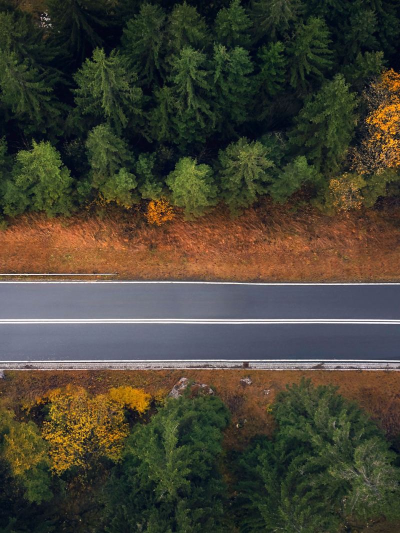Bird’s eye view: a road in a forest
