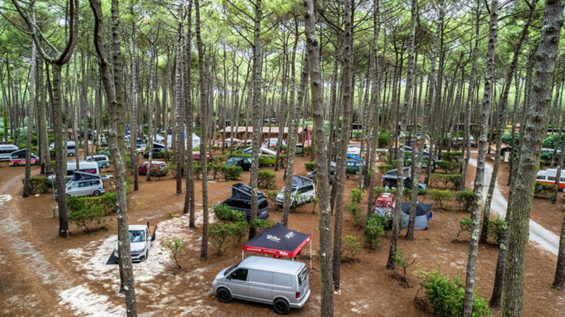 Véhicules california, caddy california et grand california dans la forêt au California Festival