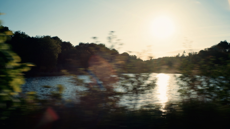 En sø i en skov 