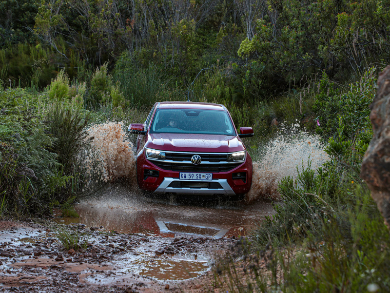 Amarok