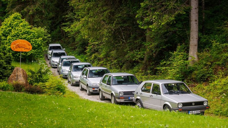 Vari modelli di VW Golf alla guida su una strada di campagna