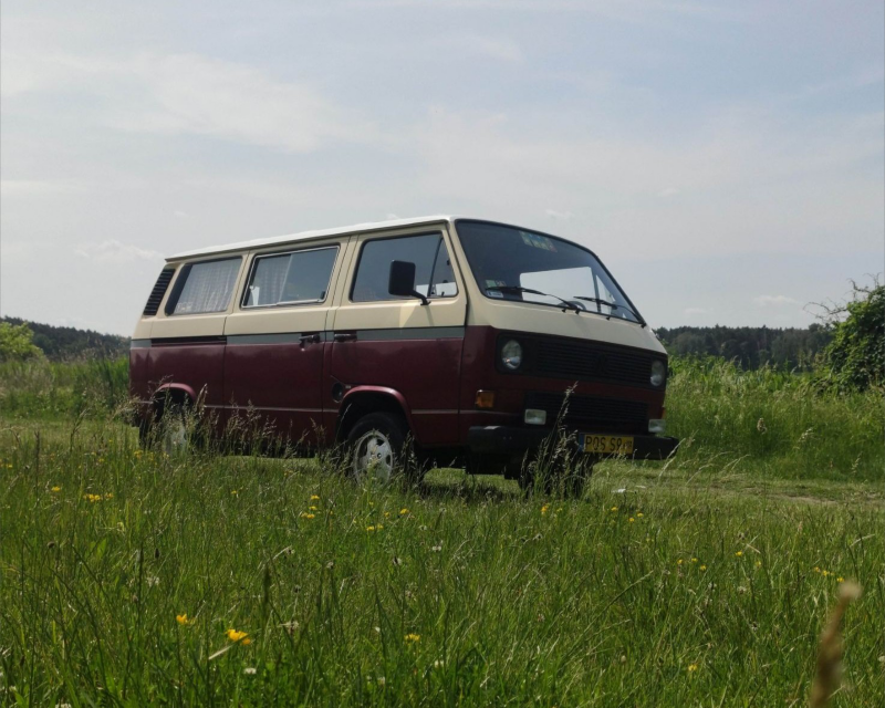 Volkswagen Transporter na łące.