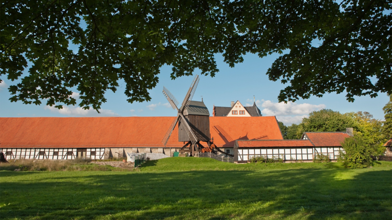 Blick von einer grünen Wiese auf eine alte Windmühle vor einem Fachwerkgebäude 