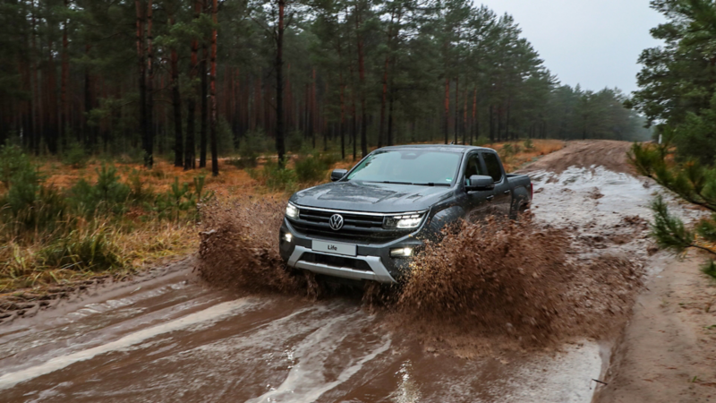 The Amarok family matters