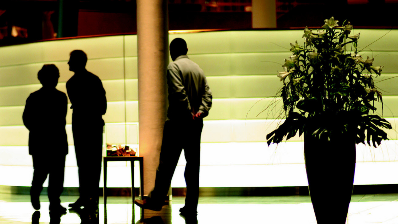 Trois clients se baladent dans la concession.