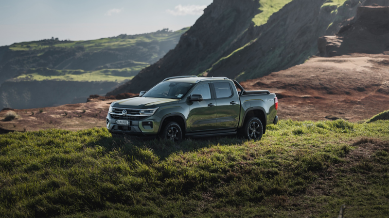 Amarok on a cliff