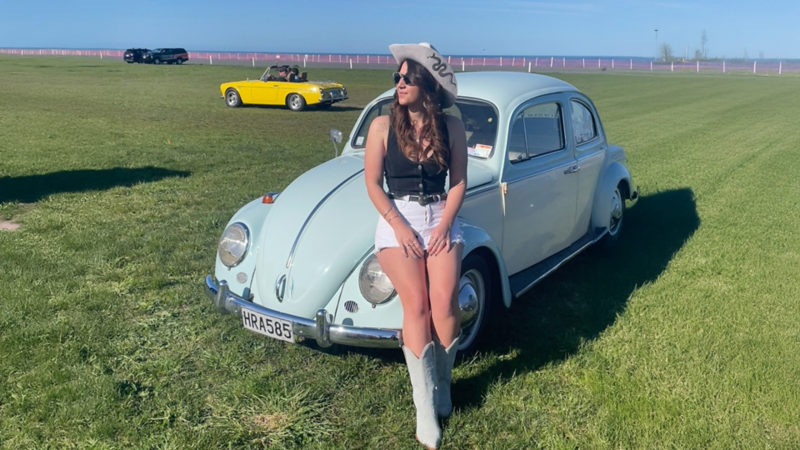 Bam Bam the Beetle