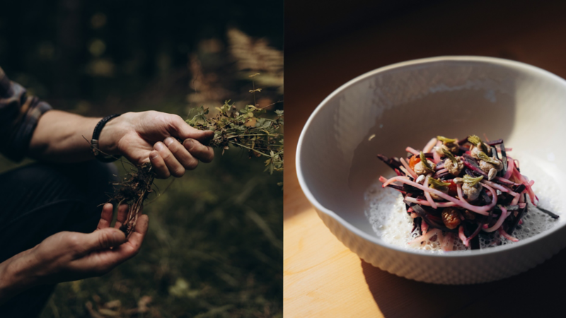 Collage de deux images. À gauche : deux mains cueillant des herbes fraîches. À droite : un plat raffiné, présenté de manière artistique dans un bol profond.