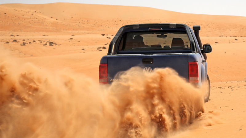 Amarok i sand