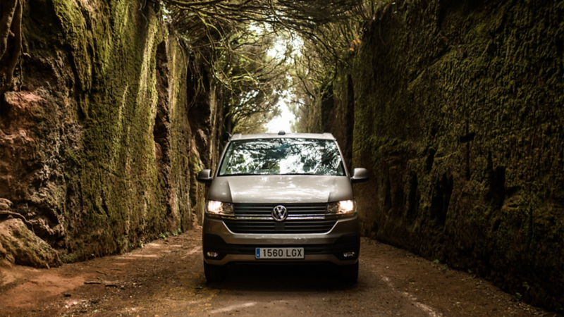 Ein VW California in Frontansicht fährt eine schmale, moosbedeckte Straße entlang.