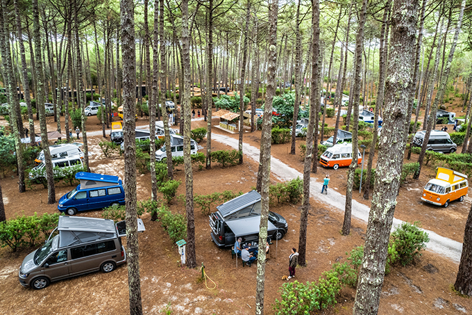 Les emplacements sur le VW California festival dans la forêt