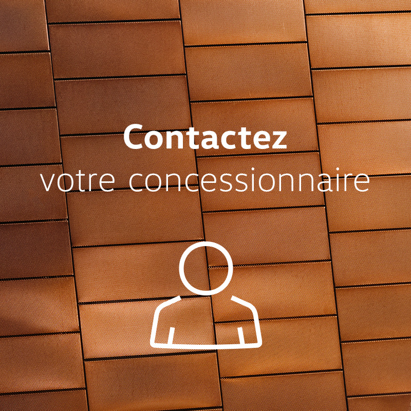 concessionnaire