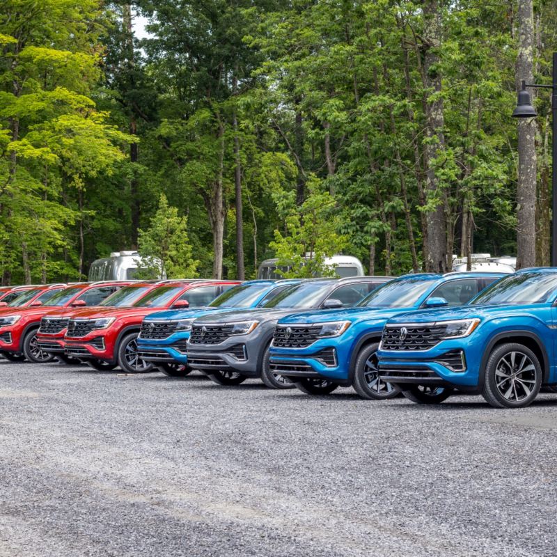 The line of pre-owned Volkswagen SUVs parked near a forest