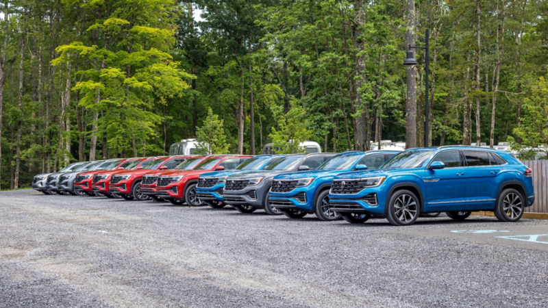 The line of pre-owned Volkswagen SUVs parked near a forest