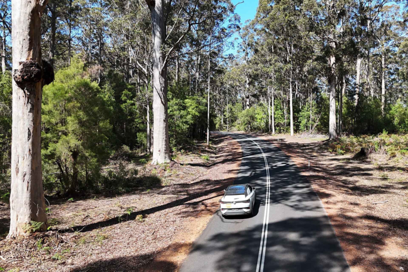 ID.4 driving through forest