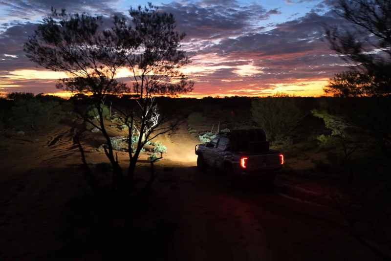 Amarok at dusk in the desert