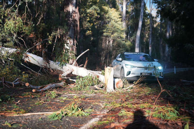 ID.4 driving through forest