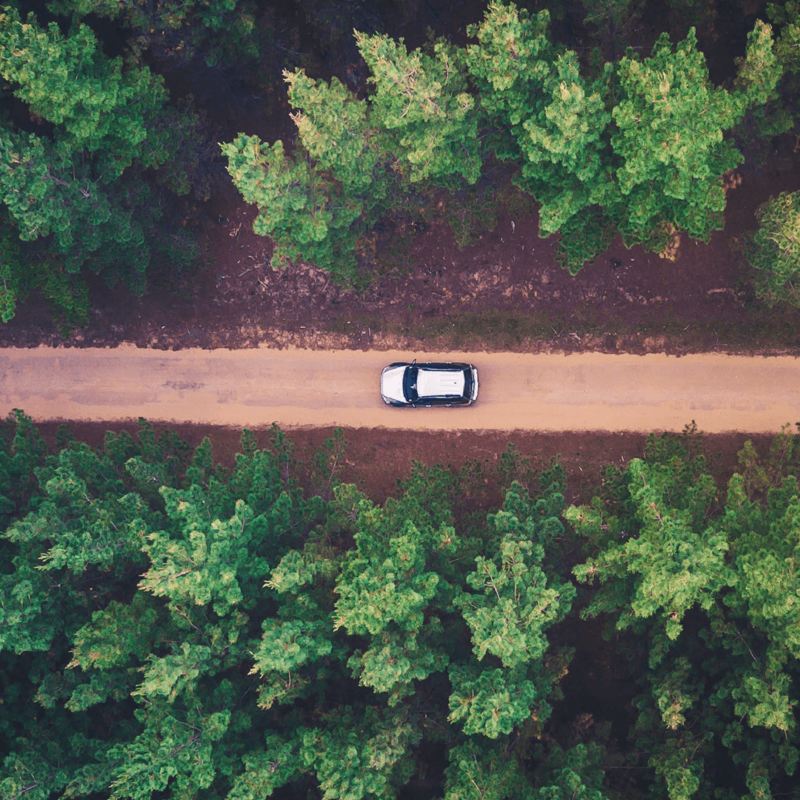 Véhicule roulant sur une route en forêt
