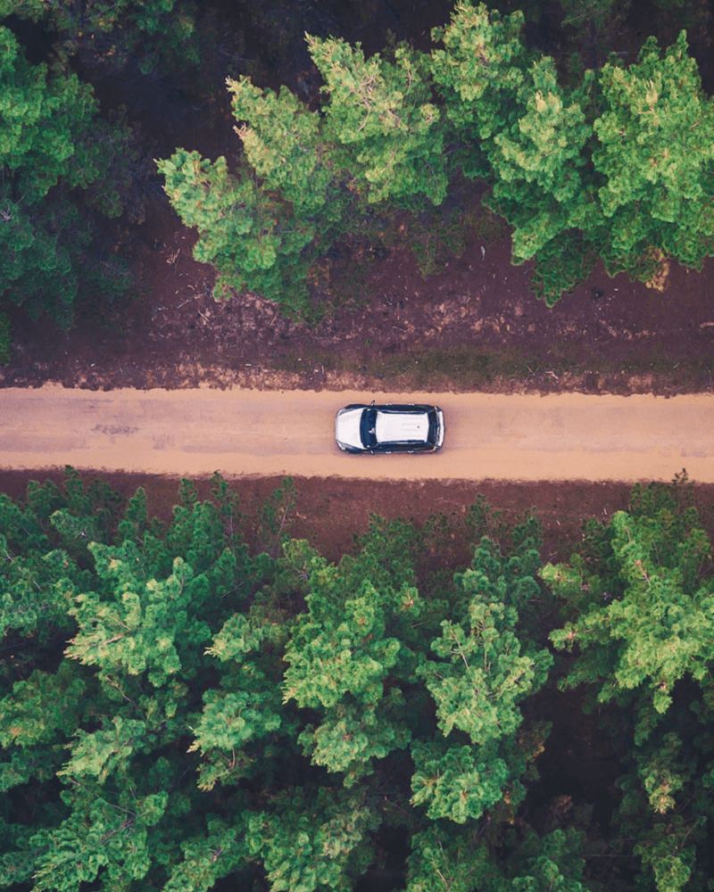 Véhicule roulant sur une route en forêt