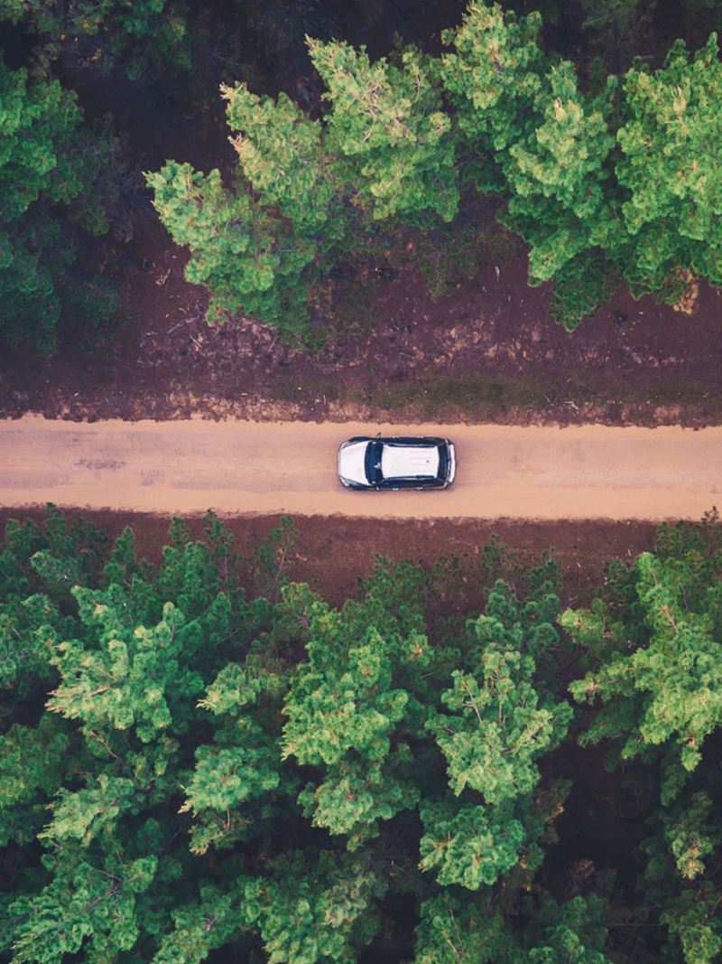 A top view of an electric vehicle driving down the road surrounded by trees