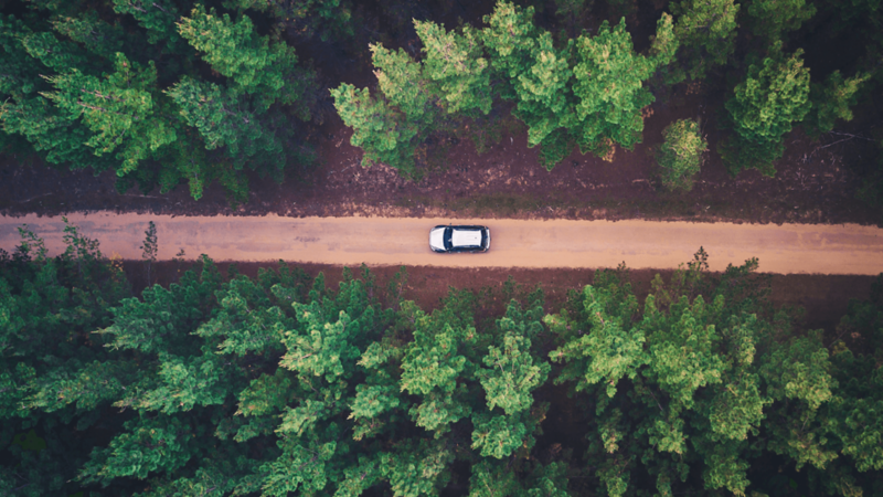 Véhicule roulant sur une route en forêt